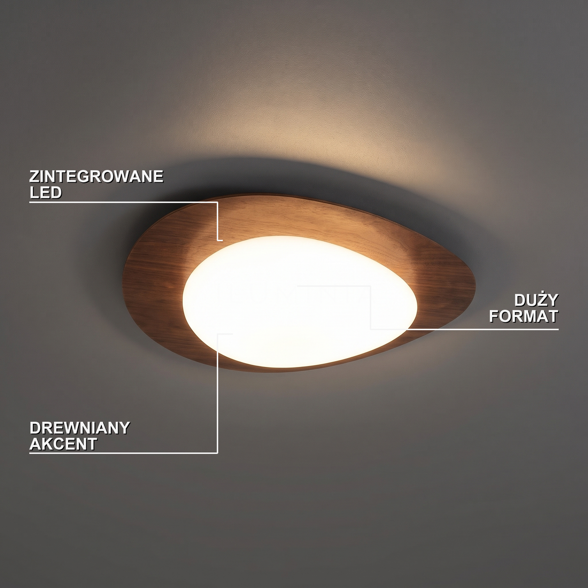 Duży plafon LED do salonu | Riflisa