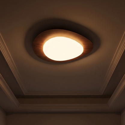 Duży plafon LED do salonu | Riflisa