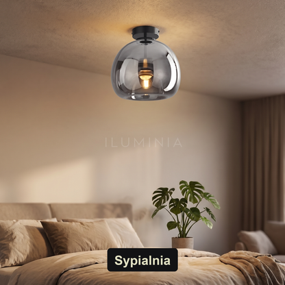 Lampa do przedpokoju plafon | Milino
