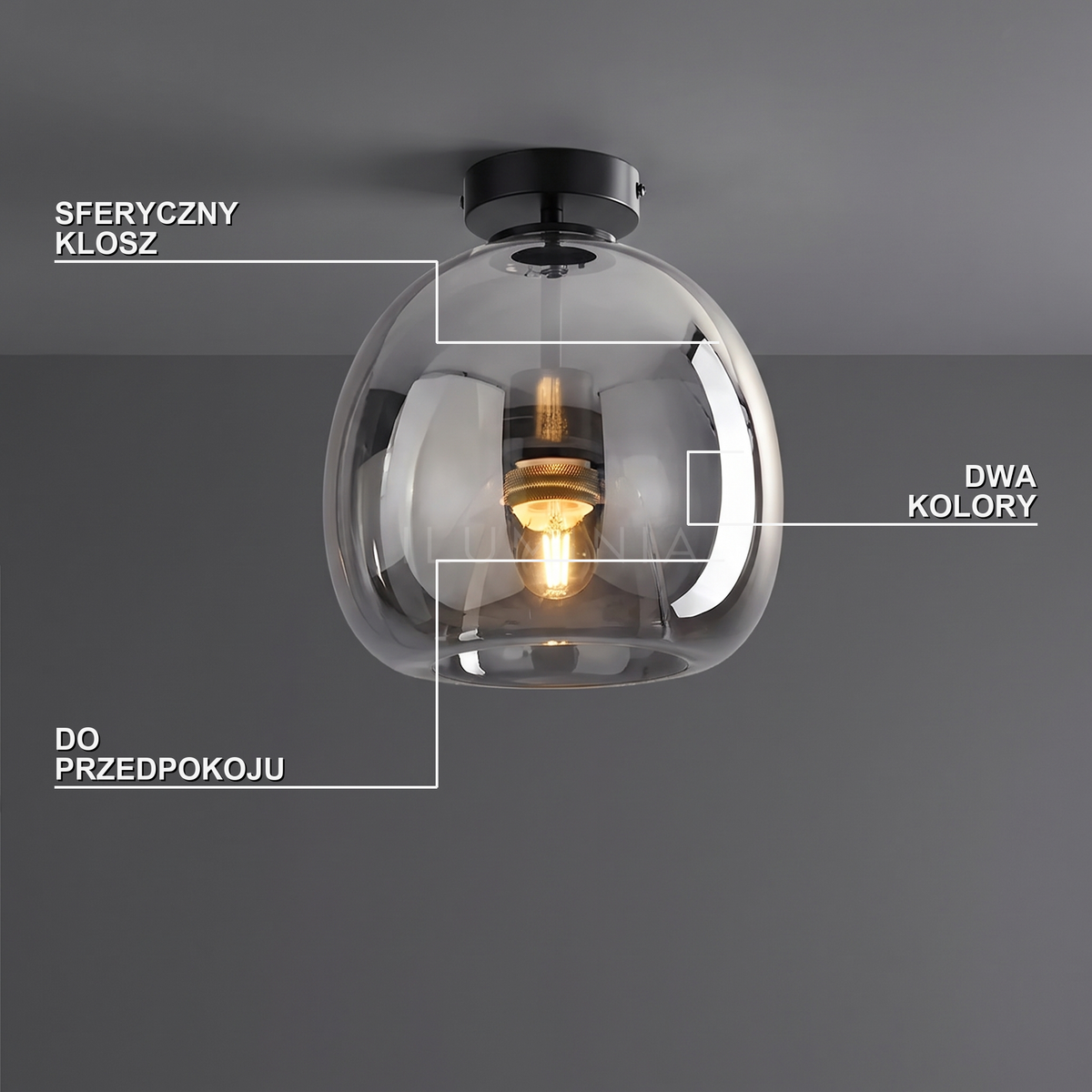 Lampa do przedpokoju plafon | Milino