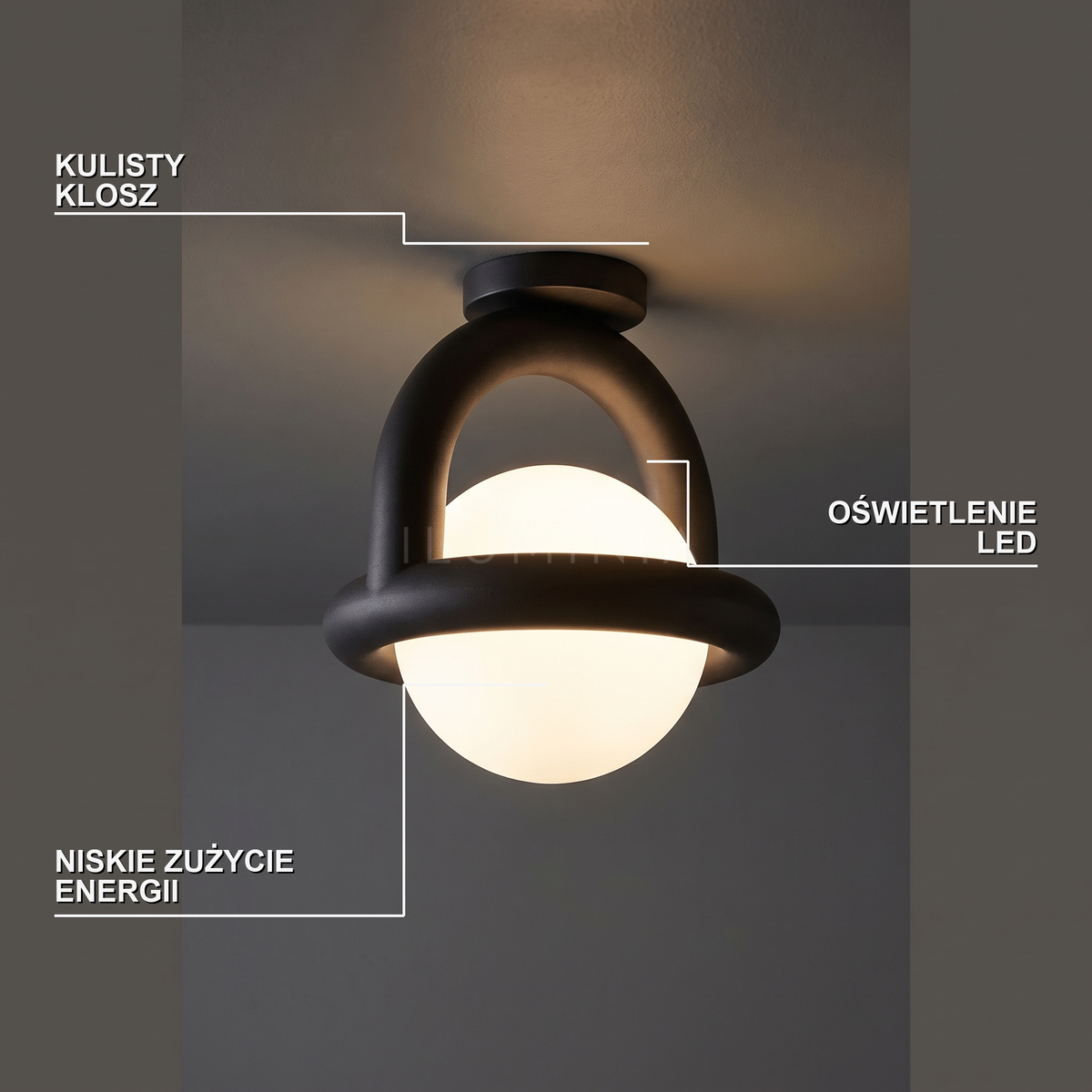 Lampa pierścieniowa wisząca | Illita