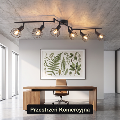 Plafon czarny industrialny | Luccosa