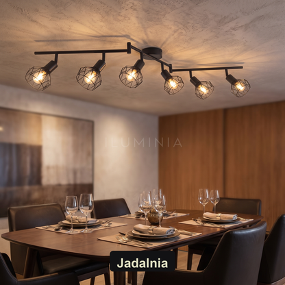 Plafon czarny industrialny | Luccosa