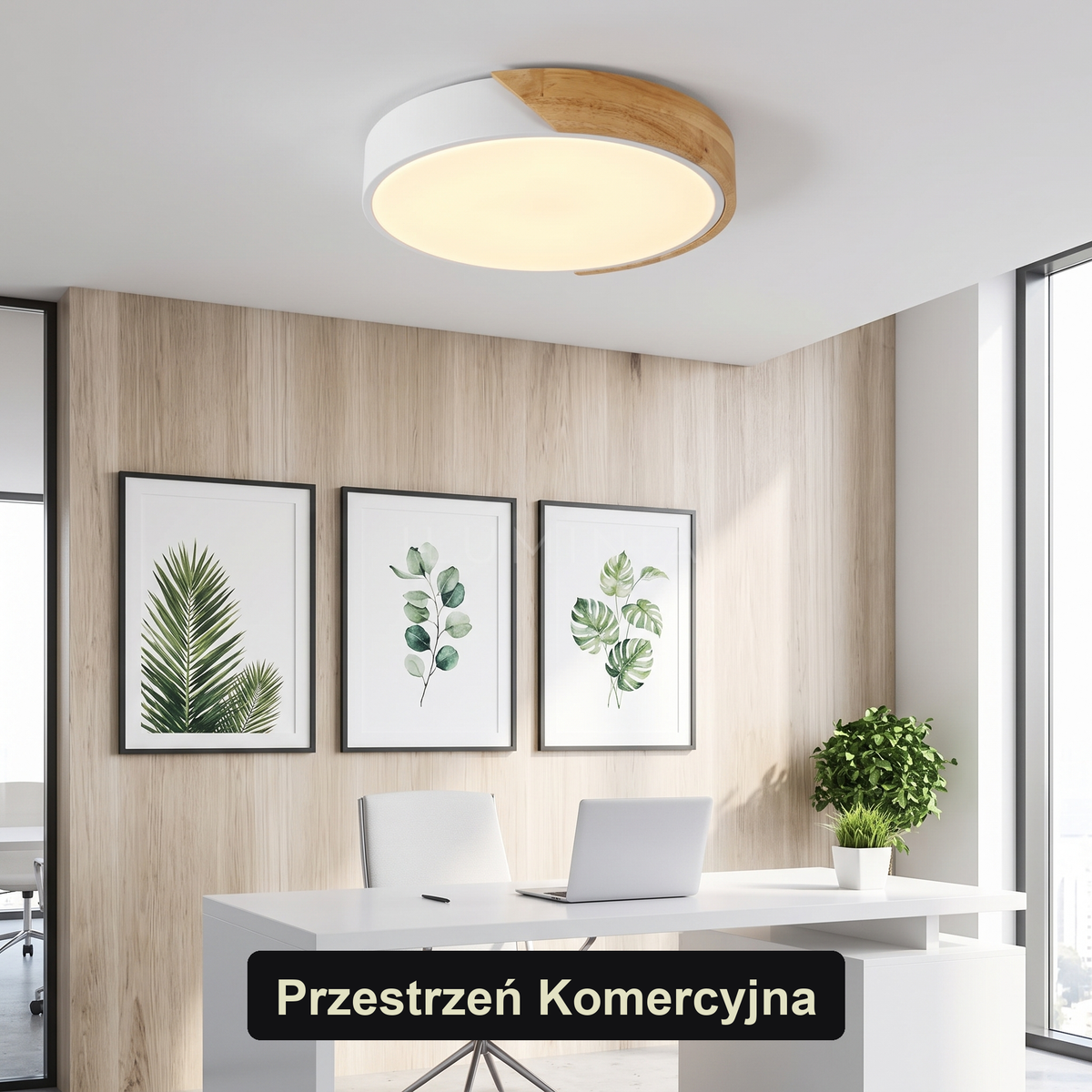 Plafon LED kolorowy | Portena
