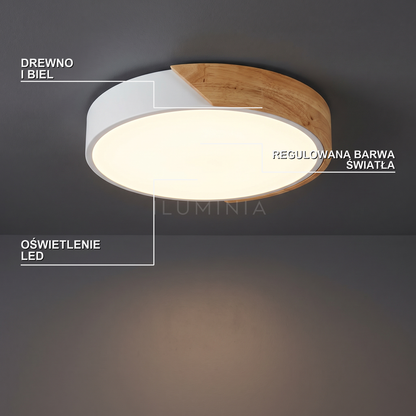 Plafon LED kolorowy | Portena