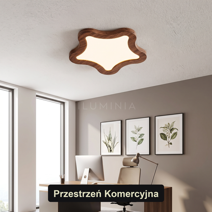 Plafon sufitowy do kuchni | BRUDIR