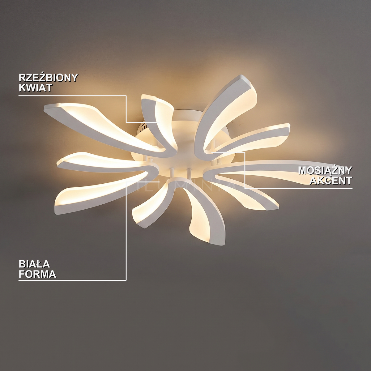 Plafon sufitowy mosiądz | Stelana – cechy i funkcje
