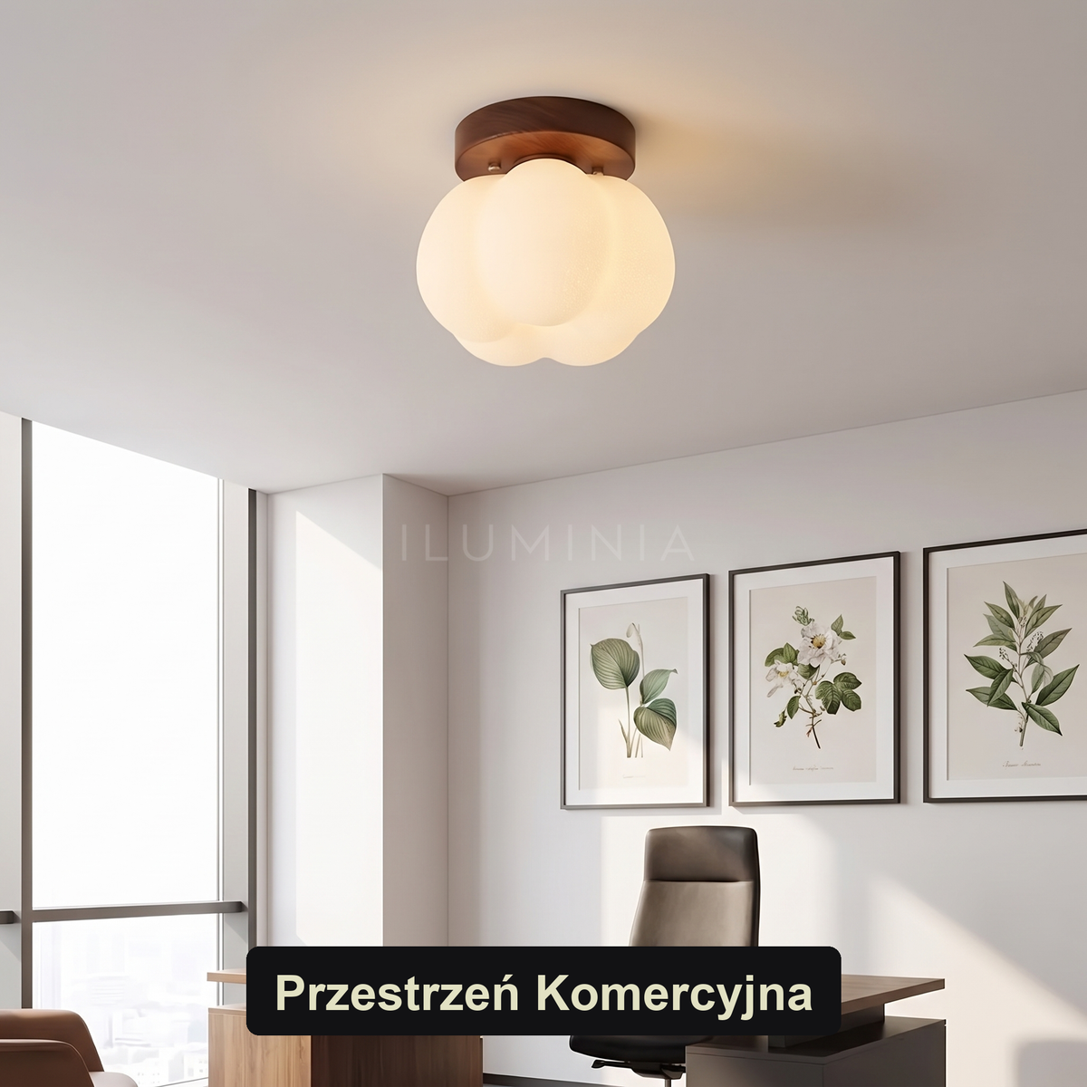 Szklany plafon do salonu | Zafora
