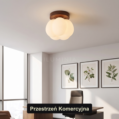 Szklany plafon do salonu | Zafora