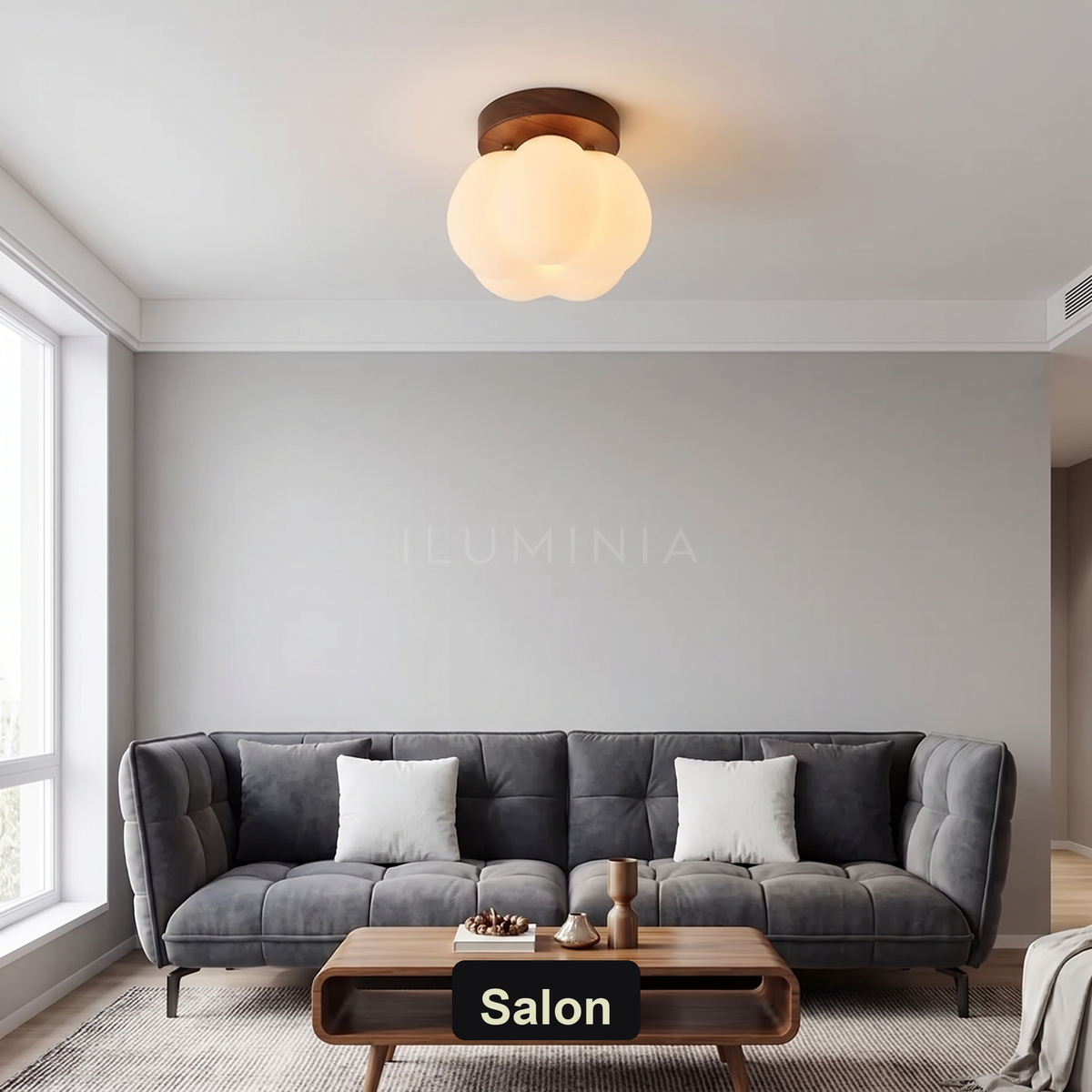 Szklany plafon do salonu | Zafora