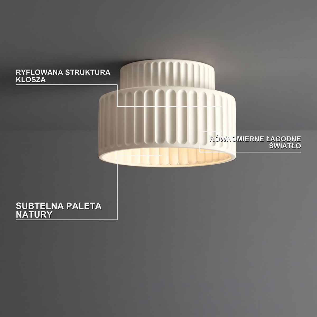 Zielony plafon | Nicaento